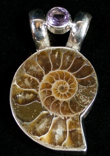 Fossil Ammonite Pendant - Sterling Silver #10167